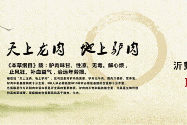 沂蒙鹿鼎记