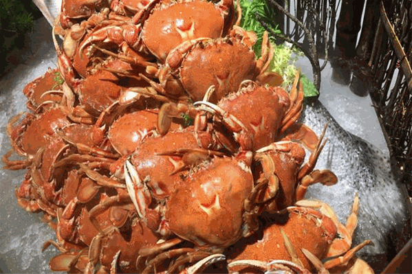 诱惑海鲜自助烤肉火锅 诱惑海鲜自助烤肉火锅