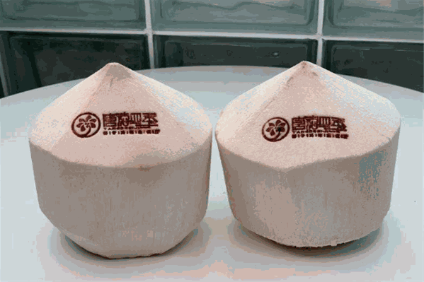 唐德四季椰子鸡