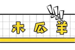 木瓜羊特色火锅店品牌logo