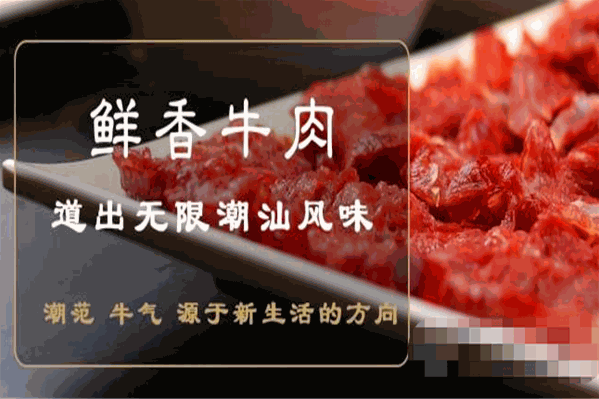 大龙潮汕牛肉火锅