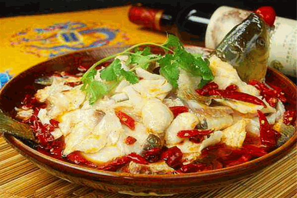 爱上霹雳鱼 爱上霹雳鱼