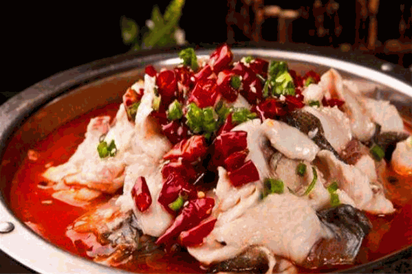 爱上霹雳鱼 爱上霹雳鱼