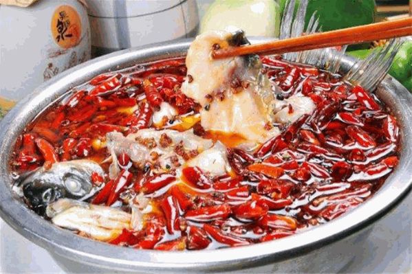 爱上霹雳鱼 爱上霹雳鱼