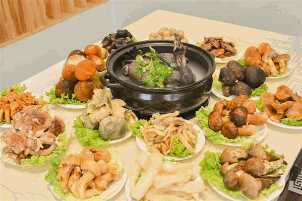 菌王村