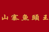 山寨鱼头王
