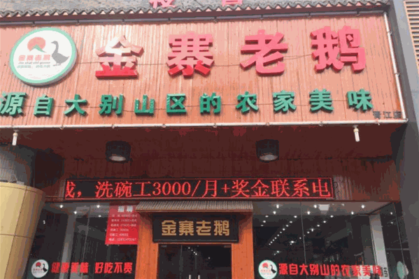 金寨老鹅 金寨老鹅