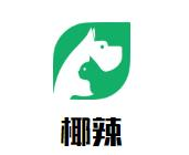 椰辣麻辣烫小火锅品牌logo