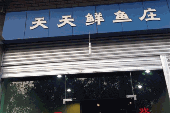 天天鲜鱼庄