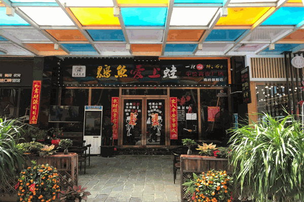 鸡鱼爱上蛙 鸡鱼爱上蛙