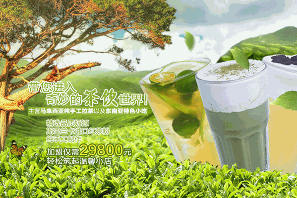 蒙奇拉茶