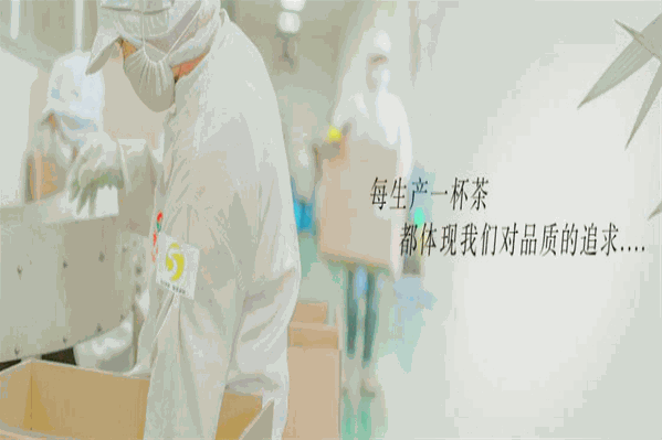 5叶茶