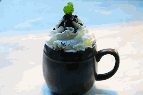 三亚奶茶