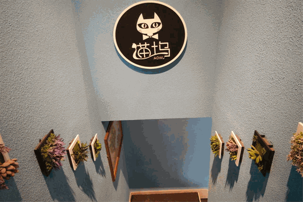 猫坞奶茶