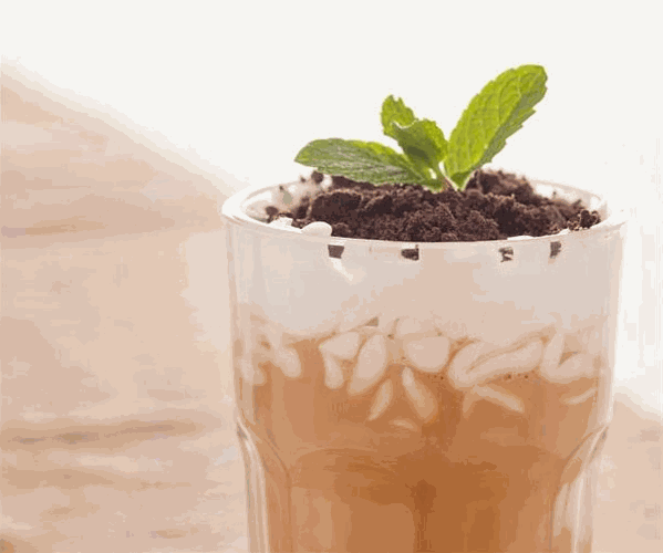 可可猴奶茶