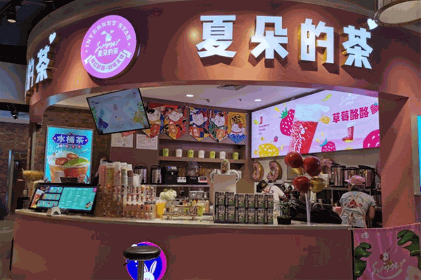 夏朵的茶