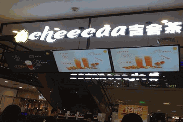 cheecaa吉舍茶