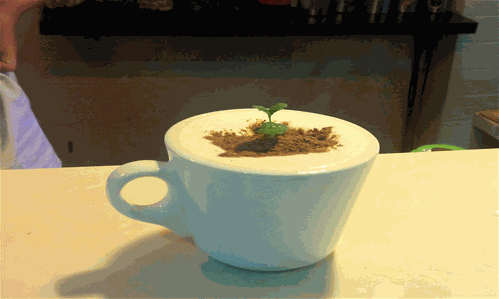 人人欢奶茶