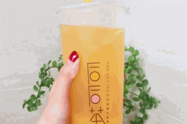 后后茶