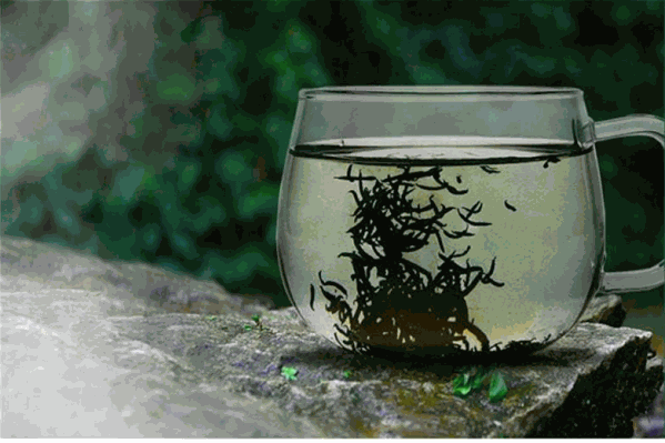 八曜和茶 八曜和茶