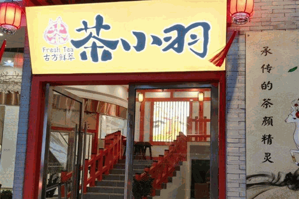 茶小羽 茶小羽