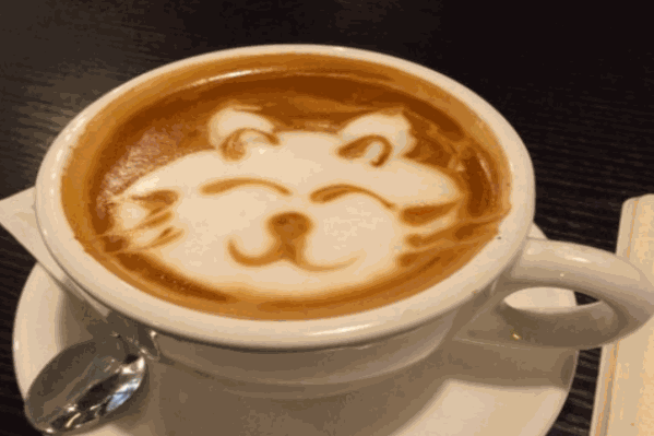 猫戈奶茶