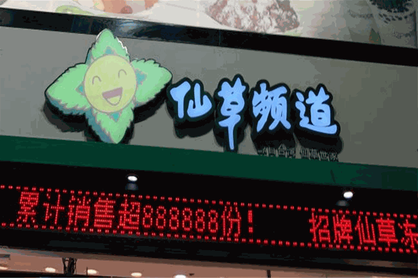仙草频道