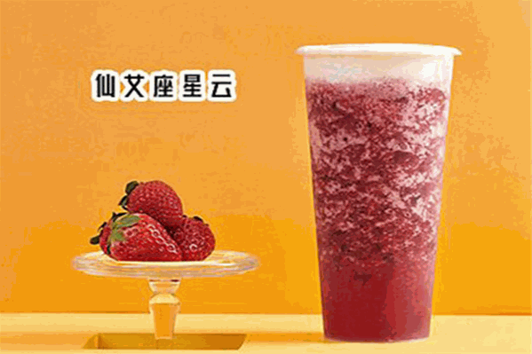 地球探茶
