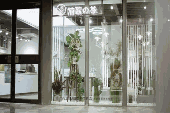 沐歌的茶