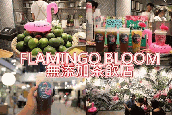 FlamingoBloom小红鹤茶饮