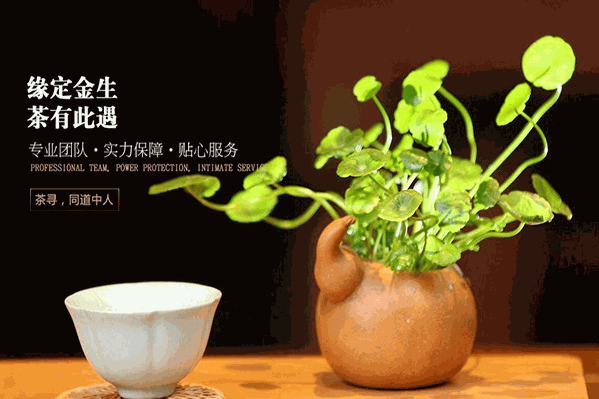 贝慕达斯水果茶