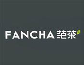 fancha范茶