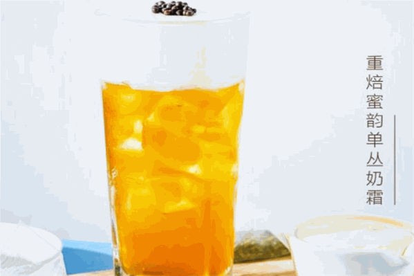 fancha范茶