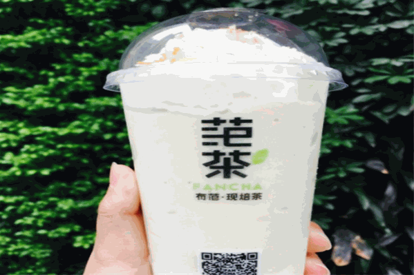 fancha范茶 fancha范茶