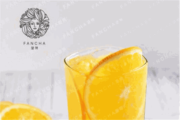 fancha范茶 fancha范茶