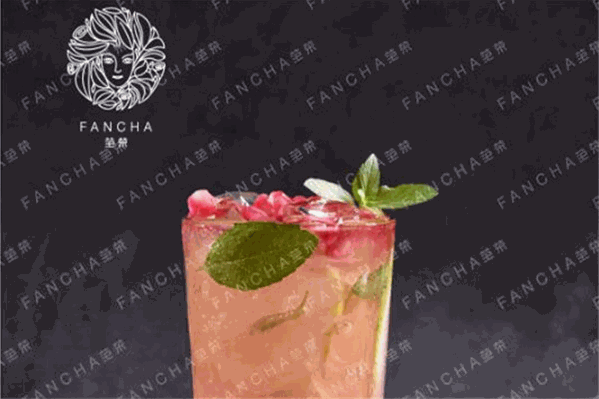 fancha范茶 fancha范茶