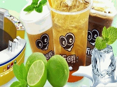 折腾茶