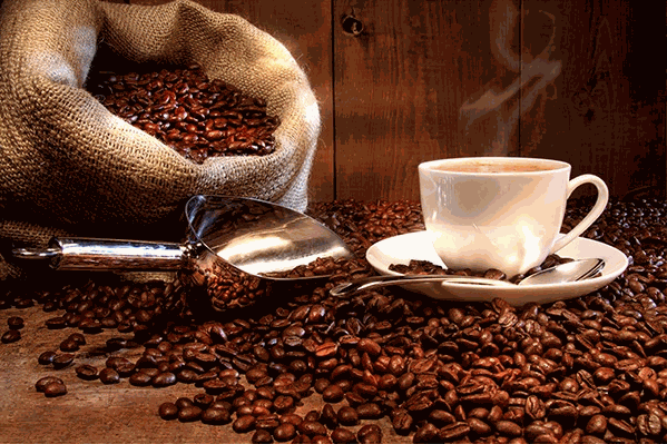 coffeegirl休闲饮品