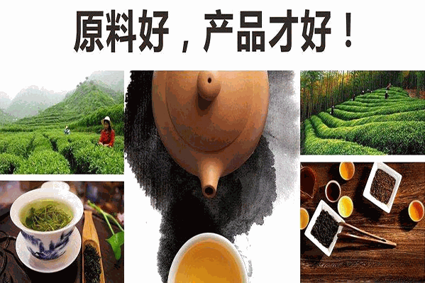 江中本草沉香茶