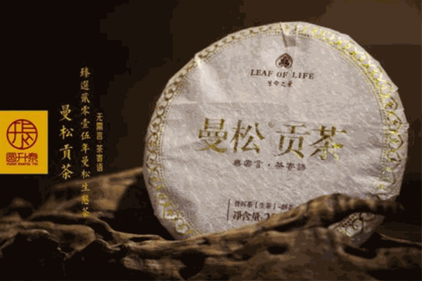 曼松贡茶