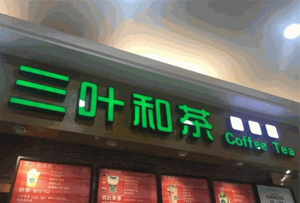 三叶和茶