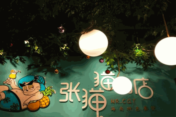 张猫猫的店