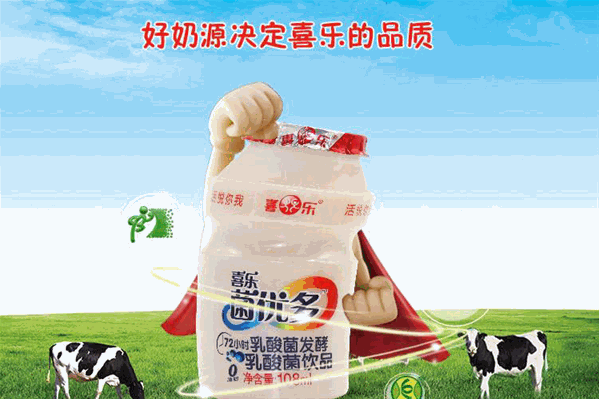 喜乐乳酸菌饮品 喜乐乳酸菌饮品
