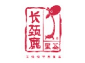 长颈鹿黑茶特饮品牌logo
