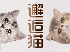 邂逅猫猫咪主题饮品店品牌logo