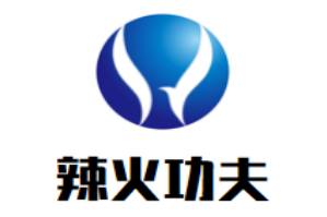 辣火功夫麻辣烫品牌logo