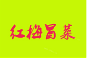 红梅冒菜品牌logo