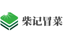 柴记冒菜品牌logo