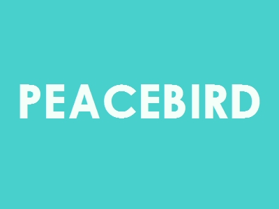开PEACEBIRD加盟店要投资多少钱？