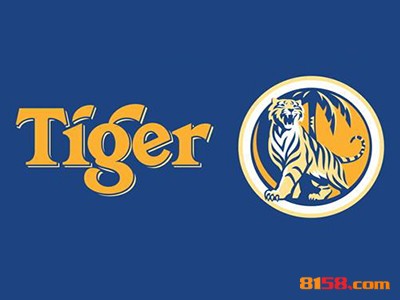 虎牌啤酒加盟的优势如何？